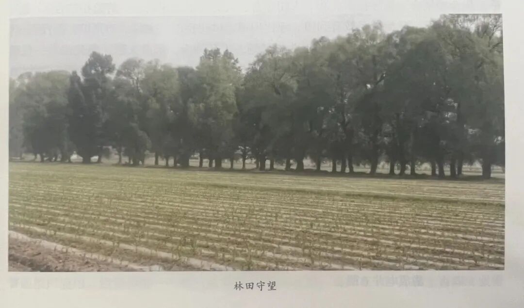 微信图片_2025-10-17_180129_620.jpg